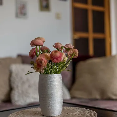 Piago Appartement Split